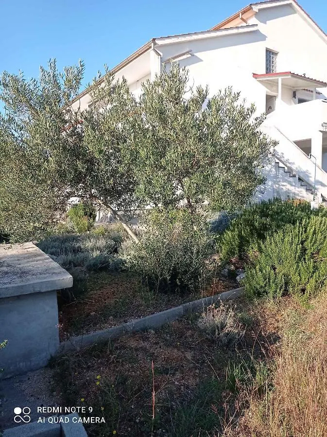 Apartments In Barbat/Insel Rab 17610 Barbat na Rabu