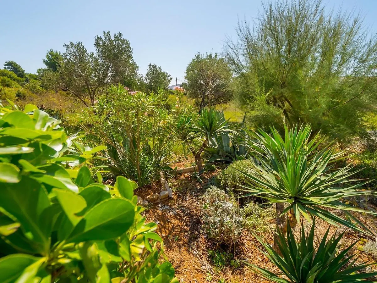 Apartments In Barbat/Insel Rab 17610 Barbat na Rabu Croazia